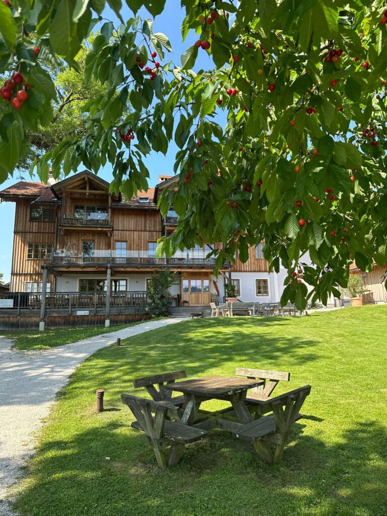 whatsapp image 2026 01 06 at 15.11.23 (1)