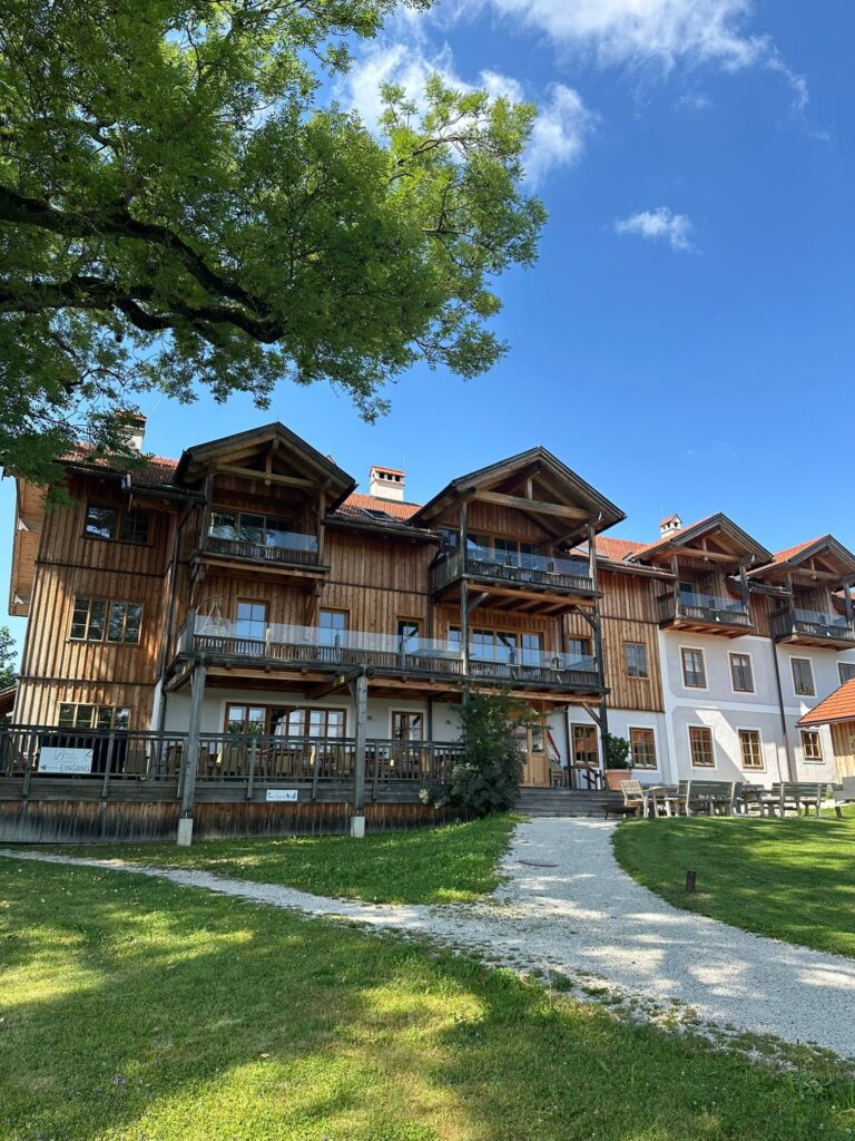 whatsapp image 2026 01 06 at 15.11.23