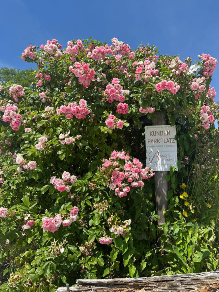 whatsapp image 2026 01 06 at 15.11.24